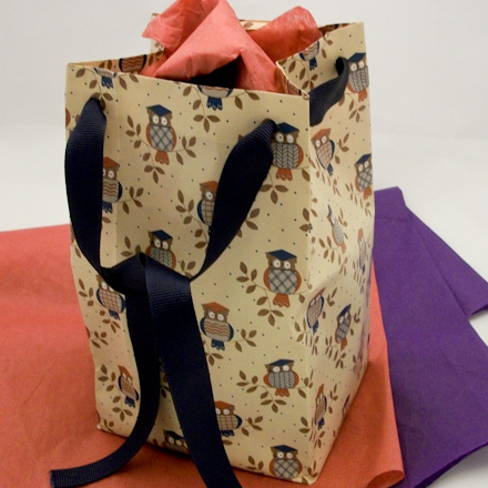 Gift bag with ribbon tie