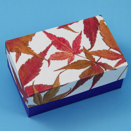 Decoupaged Box craft project - fall leaves