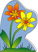 Flowers Shaped Greeting Card