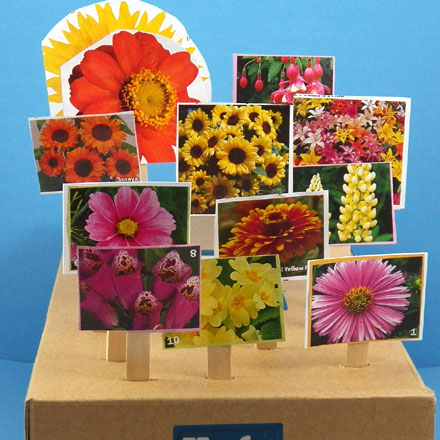 Seed catalog garden 'planted' with flowers of all colors