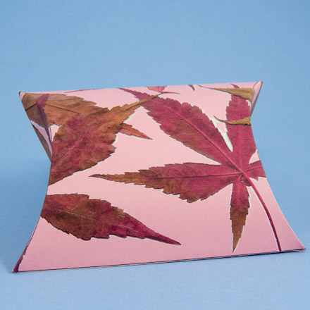 Pillow box with fall leaves