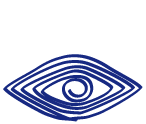 eye coil