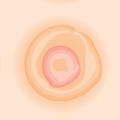 Digital paper: 2" Orange Tranquil Circles