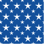 Digital paper: White stars on blue