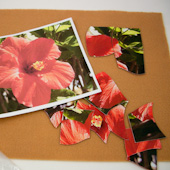Hibiscus picture puzzle