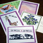 Matted clip-art cards