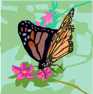Butterfly clip-art